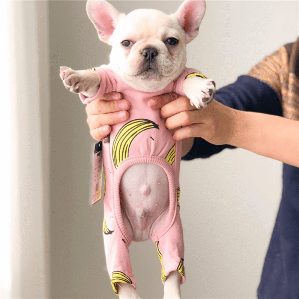 Pyjama D'hiver 'Oh Banana!' Pour Bouledogue francais Dog Apparel