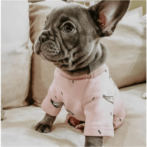Pyjama D'hiver 'Oh Banana!' Pour Bouledogue francais Dog Apparel