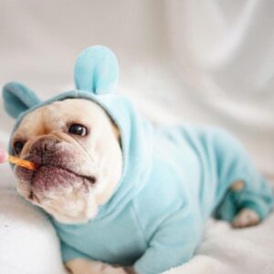 Bouledogue Avenue Pour Bouli Pyjama tout doux - "Not My Fault"