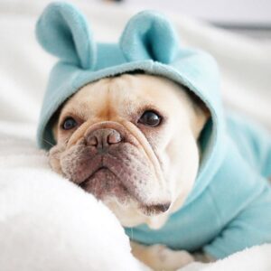 Bouledogue Avenue Pour Bouli Pyjama tout doux - "Not My Fault"