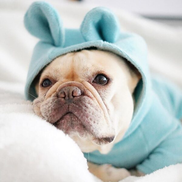 Bouledogue Avenue Pour Bouli Pyjama tout doux - "Not My Fault"