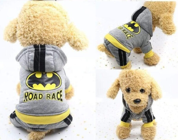 Sweat Batman Pour Chien Dog Apparel