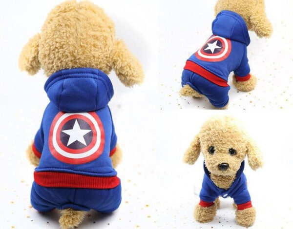 Sweat Batman Pour Chien Dog Apparel