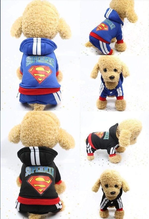 Sweat Batman Pour Chien Dog Apparel