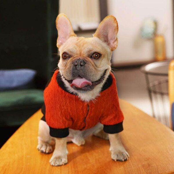 Bouledogue Avenue Sweat Bi-Matière Rouge et Noir Tête de Tigre