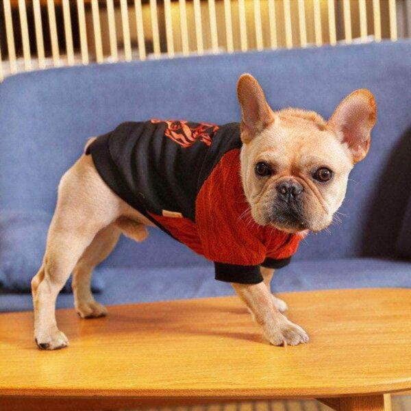 Bouledogue Avenue Sweat Bi-Matière Rouge et Noir Tête de Tigre