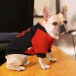 Bouledogue Avenue Sweat Bi-Matière Rouge et Noir Tête de Tigre