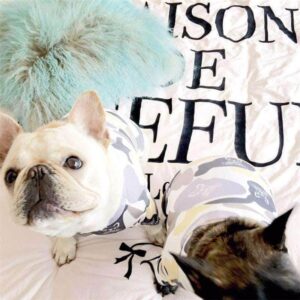 Bouledogue Avenue Sweat Camouflage Logo Bouledogue