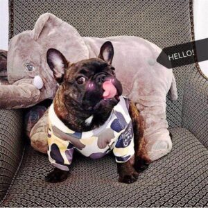 Bouledogue Avenue Sweat Camouflage Logo Bouledogue
