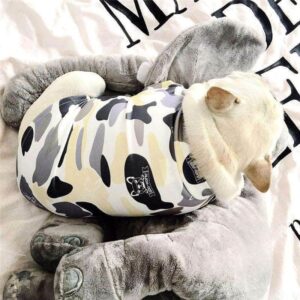 Bouledogue Avenue L Sweat Camouflage Logo Bouledogue