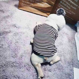 Bouledogue Avenue Sweat Capuche Pompon Pour Chien
