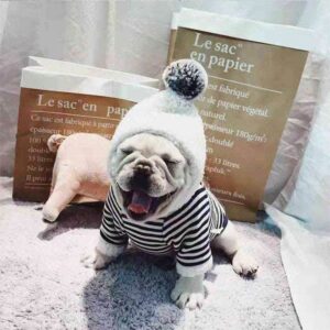 Bouledogue Avenue Sweat Capuche Pompon Pour Chien