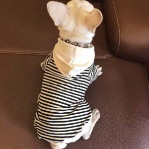 Bouledogue Avenue Sweat Toi et Moi