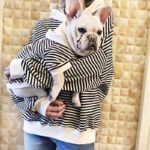 Bouledogue Avenue Sweat Toi et Moi