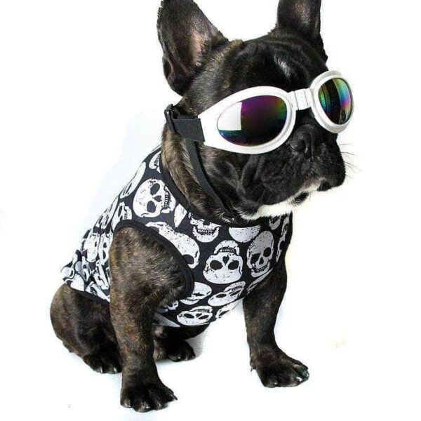 Bouledogue Avenue Pour Bouli T-shirts Têtes de Mort - 9 coloris