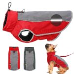 Bouledogue Avenue Pour Bouli Veste Imperméable Réfléchissante
