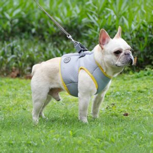 Veste Rafraîchissante Légère pour Bouledogue Francais Pour Bouli