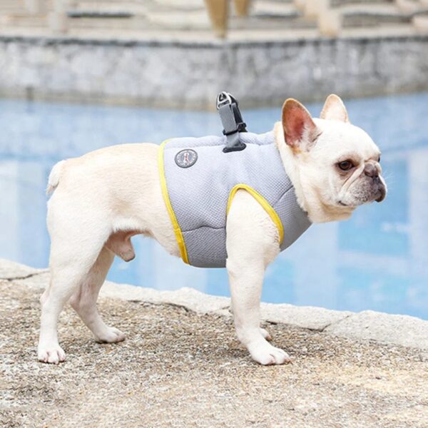 Veste Rafraîchissante Légère pour Bouledogue Francais Pour Bouli
