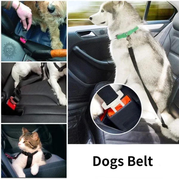 Harnais Ceinture de Sécurité pour Chien avec Clip Auto - Bouledogue Avenue https://bouledogueavenue.com/wp-content/uploads/2026/08/Sdd25a38de3474c5b9f547724227e7159b.webp