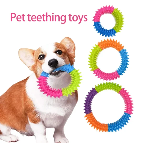 Anneau Picots pour Chien - Jeu et Nettoyage des Dents 9 Anneau Picots pour Chien - Jeu et Nettoyage des Dents - Bouledogue Avenue https://bouledogueavenue.com/wp-content/uploads/2026/08/S90e2a91753e6498ab5d68a5093ce5df1N.webp