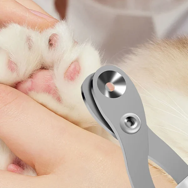 Coupe-Griffes Professionnel à Trou Circulaire - Bouledogue Avenue https://bouledogueavenue.com/wp-content/uploads/2026/08/S17bdbdd1198448478acd9ad37454c5c1w.webp