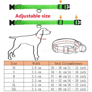 Collier Lumineux LED Rechargeable USB pour Chien 40 Collier Lumineux LED Rechargeable USB pour Chien – Image 5