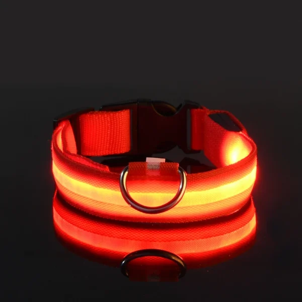 Laisse LED Lumineuse pour Sorties Nocturnes 8 Laisse LED Lumineuse pour Sorties Nocturnes - Bouledogue Avenue https://bouledogueavenue.com/wp-content/uploads/2026/08/S737c02cfd4b74daab2aaac83ec5a8407g.webp