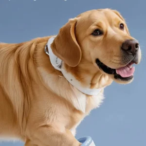 Laveur de Pattes Électrique Portable pour Chien – Image 12