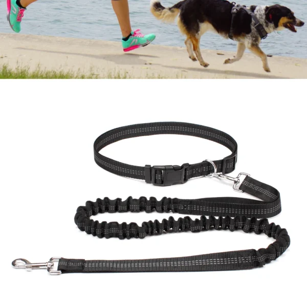 Laisse Mains Libres avec Ceinture Ajustable pour Chien - Bouledogue Avenue https://bouledogueavenue.com/wp-content/uploads/2026/08/S0e92f788fe5f456d9b450d036d9dfc63L.webp