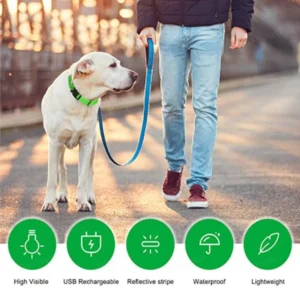 Collier Lumineux LED Rechargeable USB pour Chien 39 Collier Lumineux LED Rechargeable USB pour Chien – Image 4