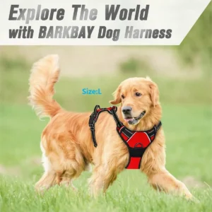 Harnais Anti-Traction Confortable pour Chien 20 Harnais Anti-Traction Confortable pour Chien – Image 4