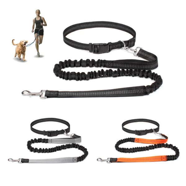 Laisse Mains Libres avec Ceinture Ajustable pour Chien - Bouledogue Avenue https://bouledogueavenue.com/wp-content/uploads/2026/08/S0e92f788fe5f456d9b450d036d9dfc63L.webp