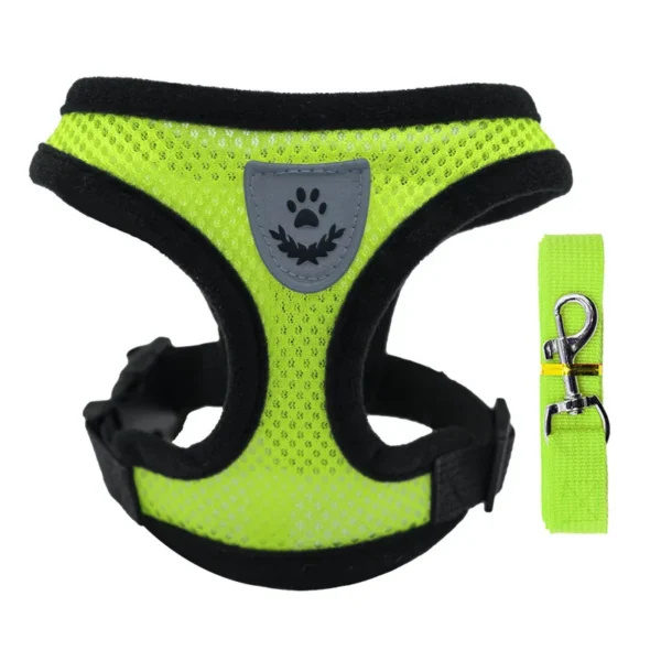 Laisse et Collier en Polyester Réglable pour Chien - Bouledogue Avenue https://bouledogueavenue.com/wp-content/uploads/2026/08/S98c1894665d34252af67ee2abb9ba34eX.webp