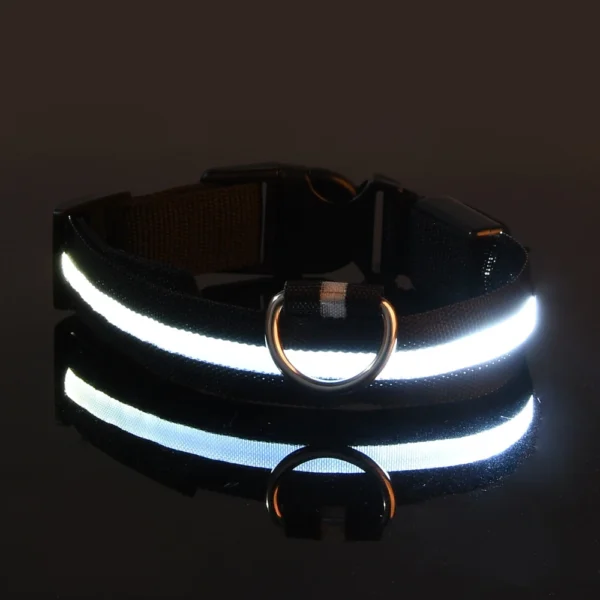 Laisse LED Lumineuse pour Sorties Nocturnes 9 Laisse LED Lumineuse pour Sorties Nocturnes - Bouledogue Avenue https://bouledogueavenue.com/wp-content/uploads/2026/08/S737c02cfd4b74daab2aaac83ec5a8407g.webp