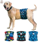 Couches Lavables pour Chien Mâle - Lot de 3 - Bouledogue Avenue https://bouledogueavenue.com/wp-content/uploads/2026/08/S0ffa80acadd44ddfb1e4a9995c2bddecx.webp