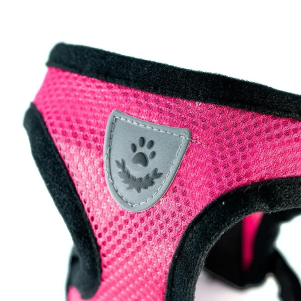 Laisse et Collier en Polyester Réglable pour Chien - Bouledogue Avenue https://bouledogueavenue.com/wp-content/uploads/2026/08/S98c1894665d34252af67ee2abb9ba34eX.webp