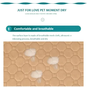 Tapis Absorbant Lavable pour Chien - Éducation Propreté – Image 27