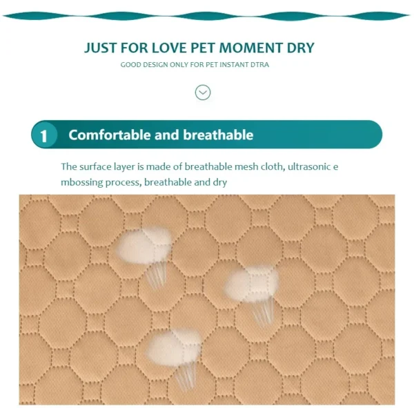 Tapis Absorbant Lavable pour Chien - Éducation Propreté - Bouledogue Avenue https://bouledogueavenue.com/wp-content/uploads/2026/08/S4d89cec7a470447393f3ef45459c1354d.webp