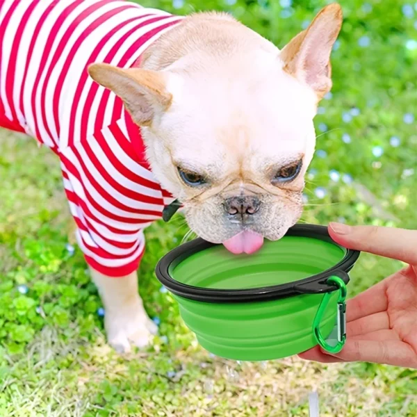 Gamelle Pliable en TPR pour Chien - Format Voyage 3 Gamelle Pliable en TPR pour Chien - Format Voyage - Bouledogue Avenue https://bouledogueavenue.com/wp-content/uploads/2026/08/Scbc769e8b0dc41909249b98200fbcf25w.webp