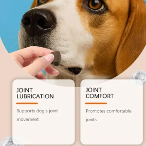 Complément Articulations pour Chien - 100 Comprimés à Croquer – Image 7