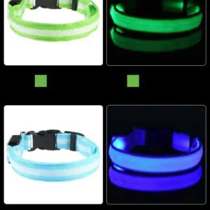 Laisse LED Lumineuse pour Sorties Nocturnes 44 Laisse LED Lumineuse pour Sorties Nocturnes – Image 22