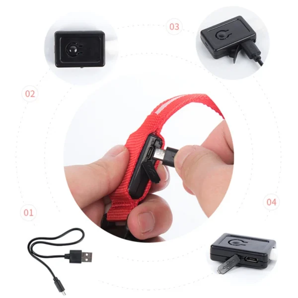 Collier Lumineux LED Rechargeable USB pour Chien 26 Collier Lumineux LED Rechargeable USB pour Chien - Bouledogue Avenue https://bouledogueavenue.com/wp-content/uploads/2026/08/Se8c8349e48ed4d5987e1eac04cf22a41c.webp