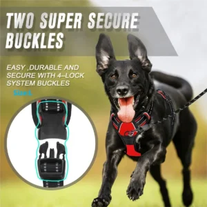 Harnais Anti-Traction Confortable pour Chien 22 Harnais Anti-Traction Confortable pour Chien – Image 6
