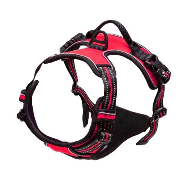 Harnais Anti-Traction Confortable pour Chien 12 Harnais Anti-Traction Confortable pour Chien - Bouledogue Avenue https://bouledogueavenue.com/wp-content/uploads/2026/08/S309991a40dd04640a1084c86e1a73d37F.webp