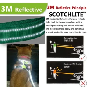 Harnais Respirant Réfléchissant pour Chien – Image 5