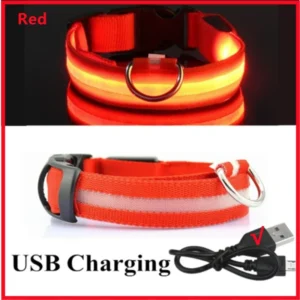 Collier Lumineux LED Rechargeable USB pour Chien 44 Collier Lumineux LED Rechargeable USB pour Chien – Image 9