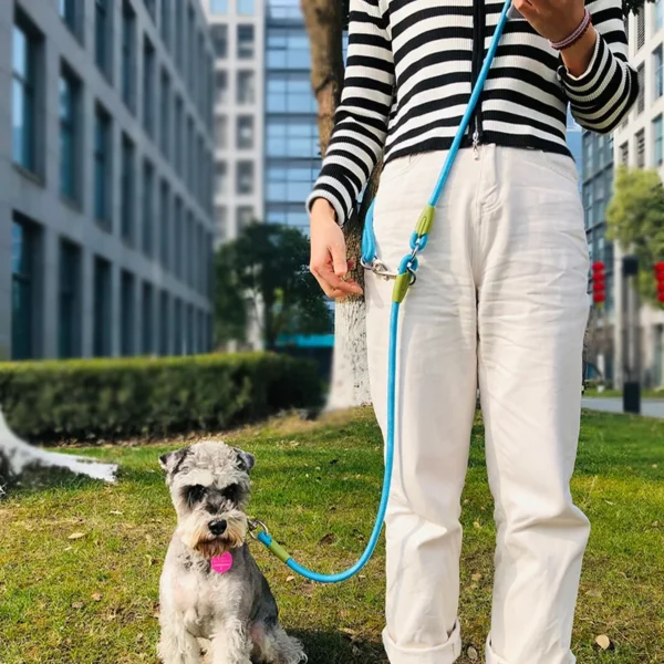 S207f4b38e20d45709bef5a40ce0eb634h-1.webp Laisse Réfléchissante Mains Libres pour Chien - Bouledogue Avenue https://bouledogueavenue.com/wp-content/uploads/2026/08/S207f4b38e20d45709bef5a40ce0eb634h-1.webp