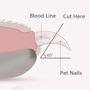 Coupe-Griffes pour Chien avec Éclairage LED Intégré – Image 5