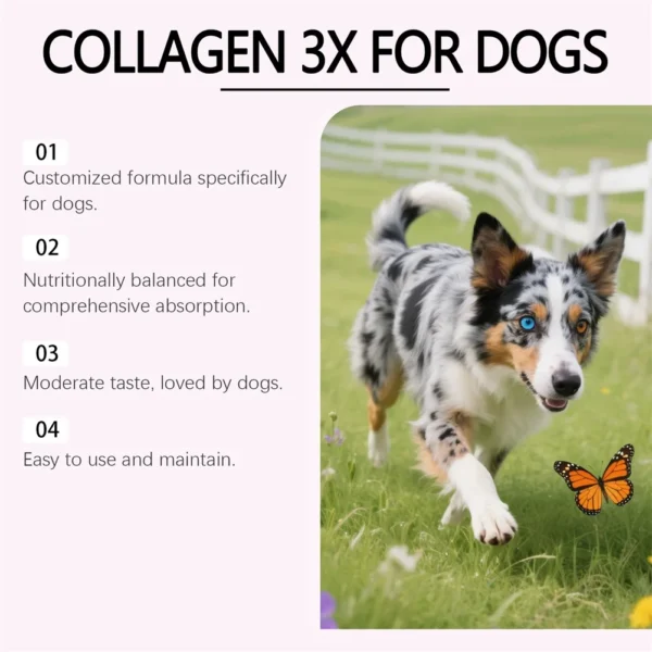 Gouttes de Collagène pour Chien - Peau et Pelage - Bouledogue Avenue https://bouledogueavenue.com/wp-content/uploads/2026/08/Sf69b604c60e84eb1b5c3603dd314b9cd3.webp