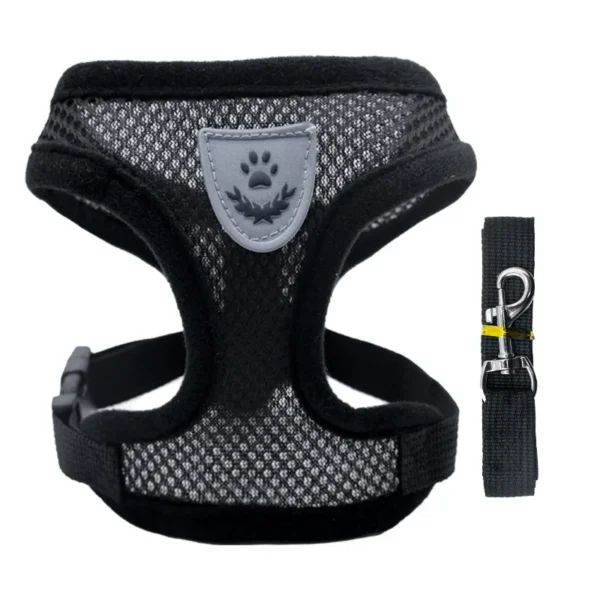 Laisse et Collier en Polyester Réglable pour Chien - Bouledogue Avenue https://bouledogueavenue.com/wp-content/uploads/2026/08/S98c1894665d34252af67ee2abb9ba34eX.webp